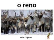 O reno